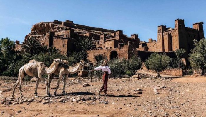 BenHaddou-camel4-578x450